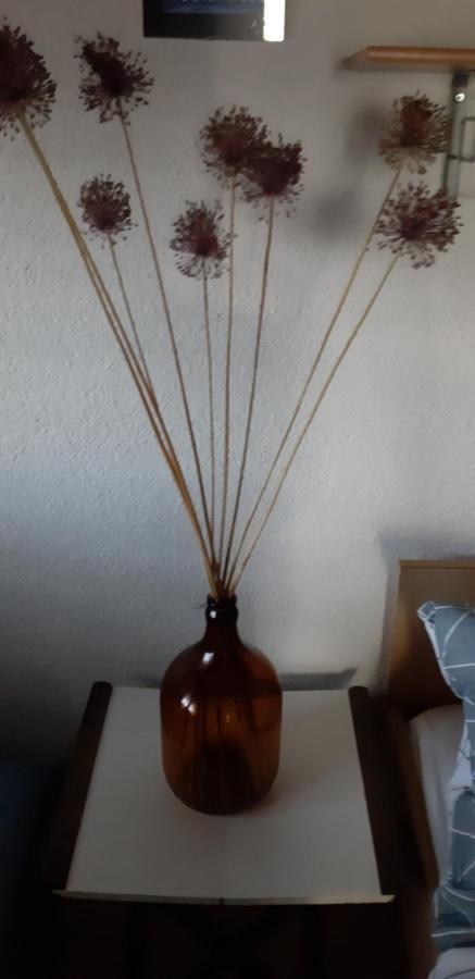 Bamboo Apartman Порторож Екстериор снимка